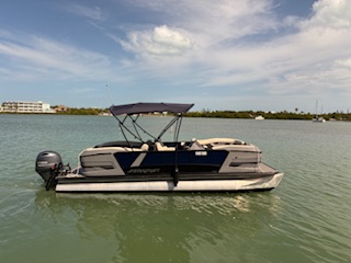 Bull Dog Tri Toon Pontoon